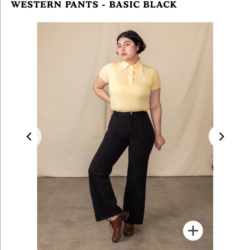 BRAND NEW big bud press western pants